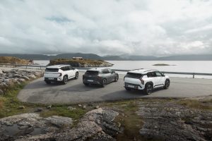 Från en bil till en hel vagnpark
